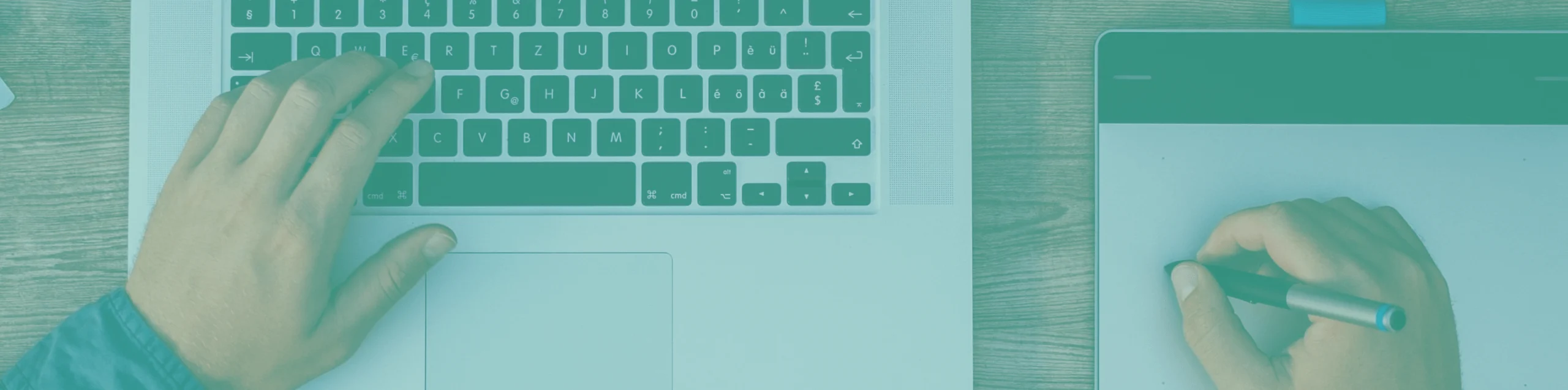 Servicio Diseño Web