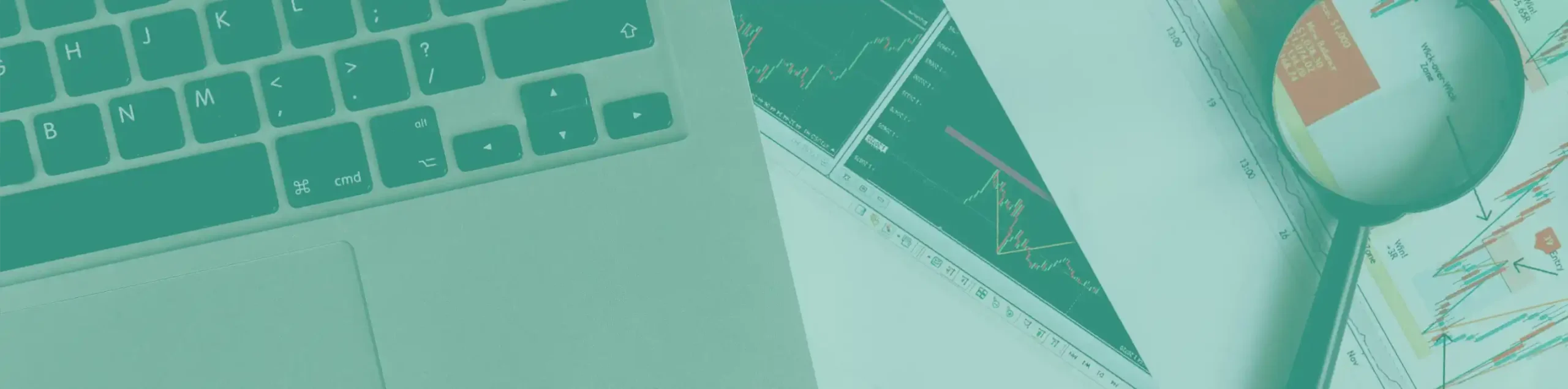 Servicio Diseño Web