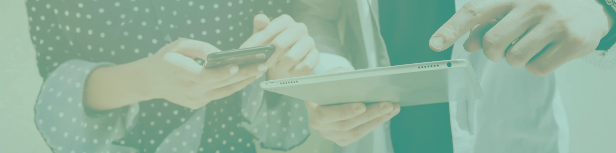 Servicio Diseño Web